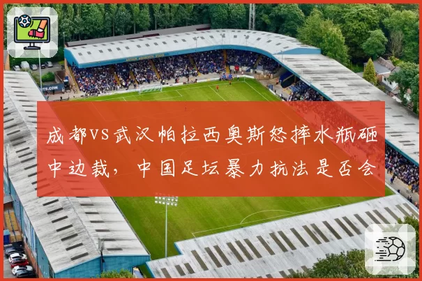 成都vs武汉帕拉西奥斯怒摔水瓶砸中边裁，中国足坛暴力抗法是否会遭重罚？
